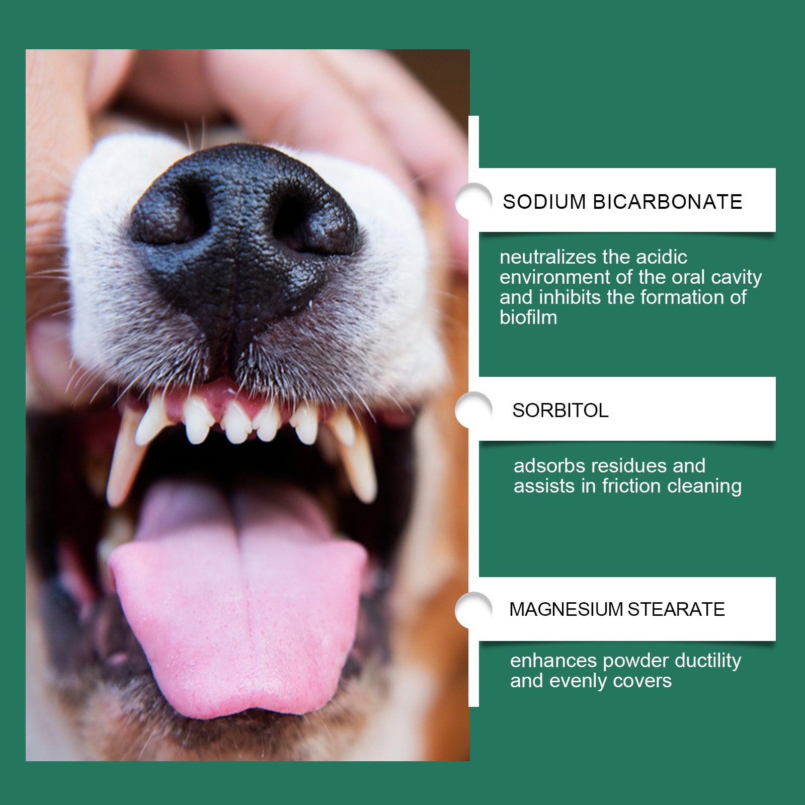 Dog Dental Cleaning Powder