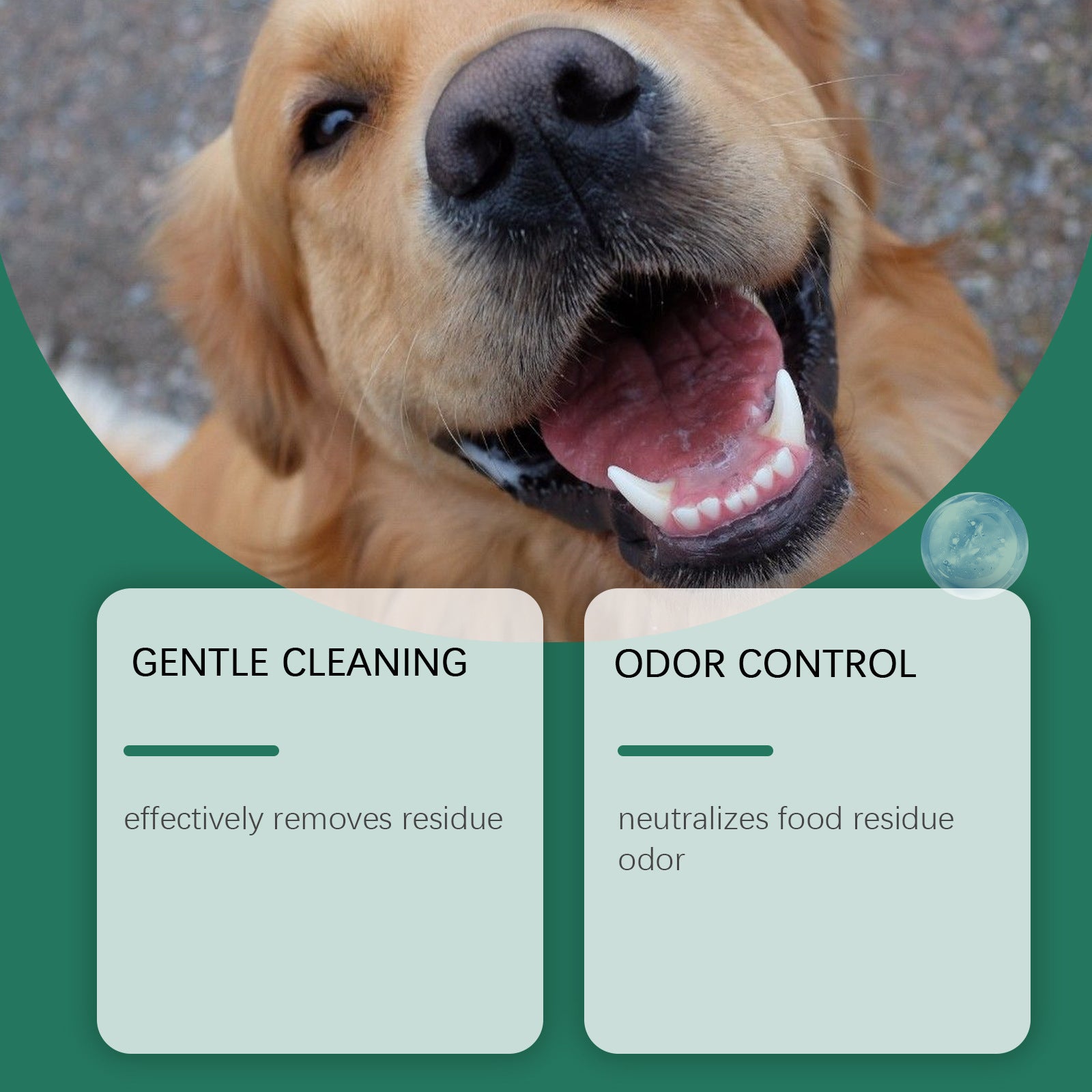 Dog Dental Cleaning Powder